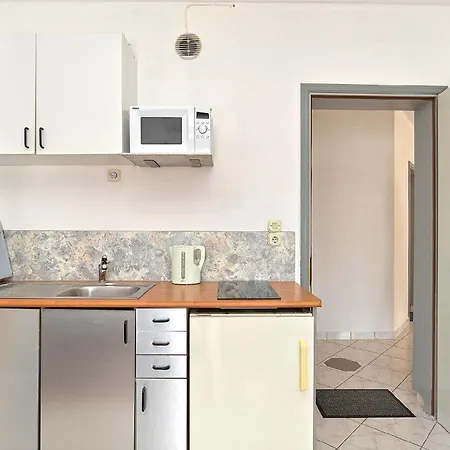 Fuer 3 Personen Ca 30 Qm In Fazana-surida, Istrien Istrische Riviera 公寓