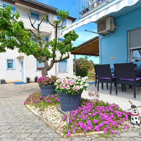 Fuer 3 Personen Ca 30 Qm In Fazana-surida, Istrien Istrische Riviera 公寓 斯廷佳
